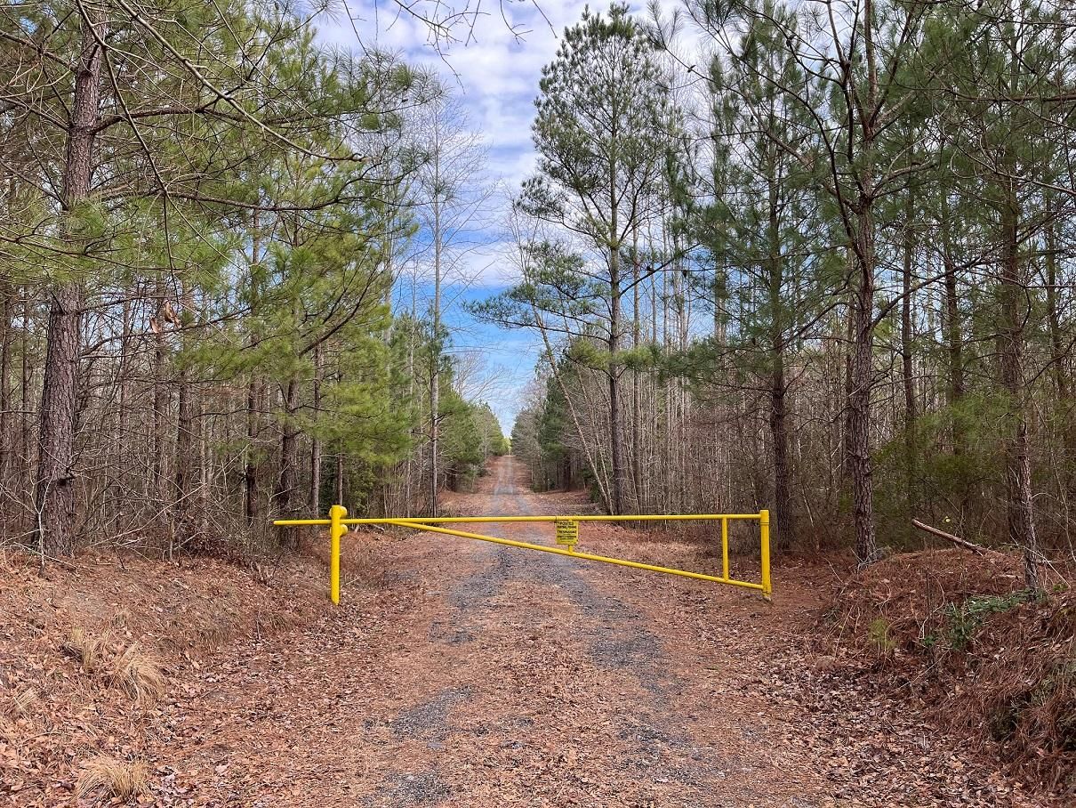 Windsor, Isle of Wight County, VA Recreational Property, Timberland