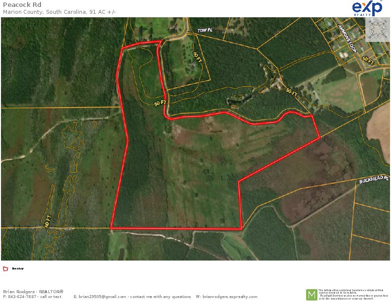Marion, Marion County, SC Recreational Property, Undeveloped Land, Hunting Property for sale