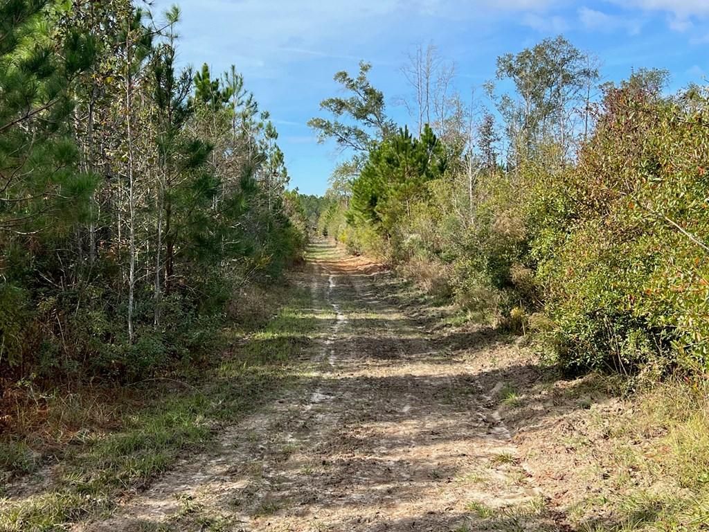 Happy Hill Tract, Alapaha, GA 31622 MLS 111734 LandWatch
