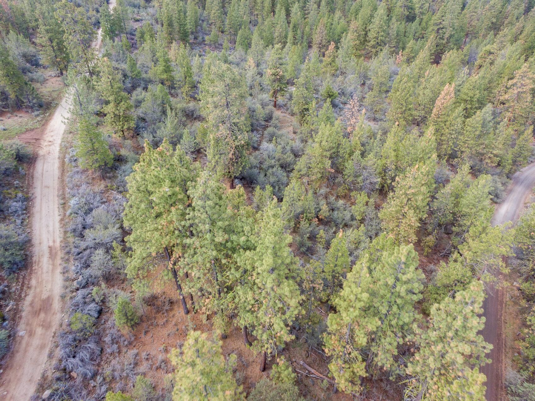 Bonanza, Klamath County, OR Recreational Property, Homesites for sale