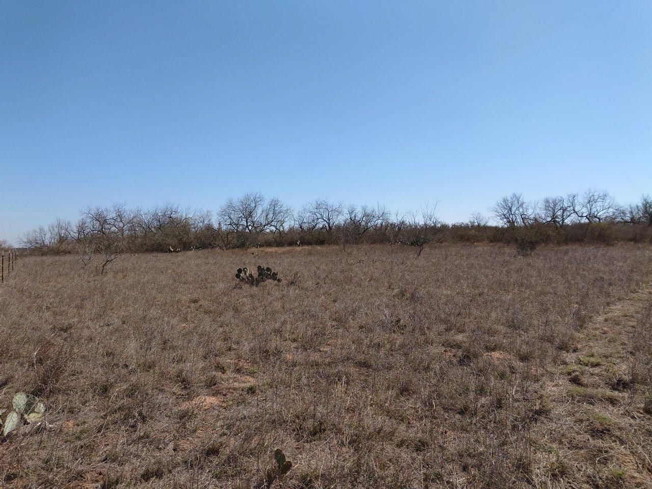 Pearsall, Frio County, TX Farms and Ranches, Recreational Property