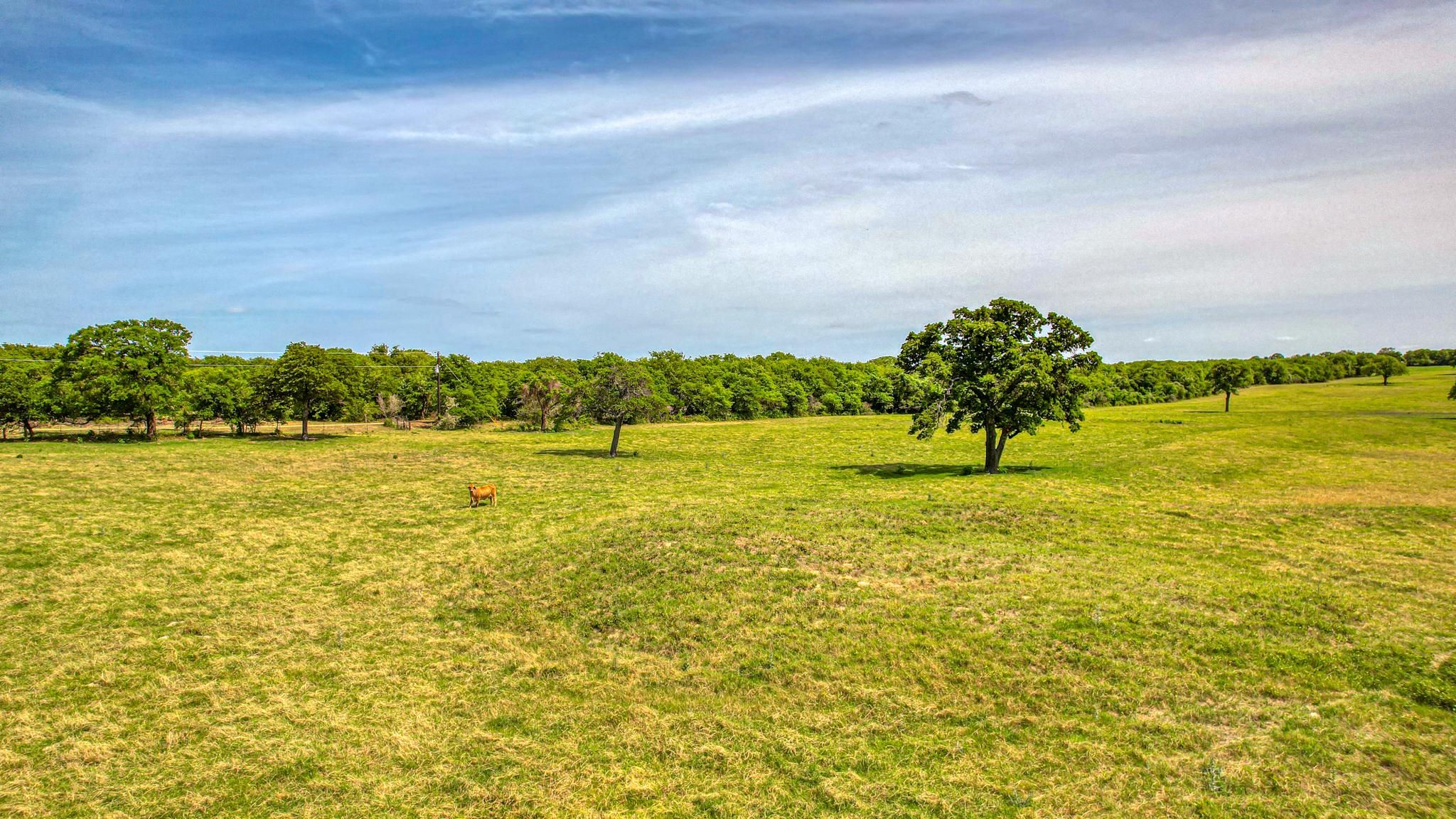 3100 Pine Rd, Poolville, TX 76487 LandWatch