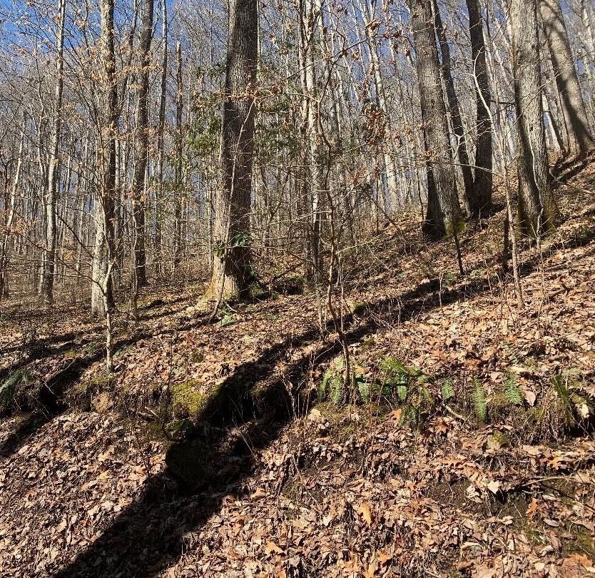 Bryson City, Swain County, NC Undeveloped Land for sale Property ID