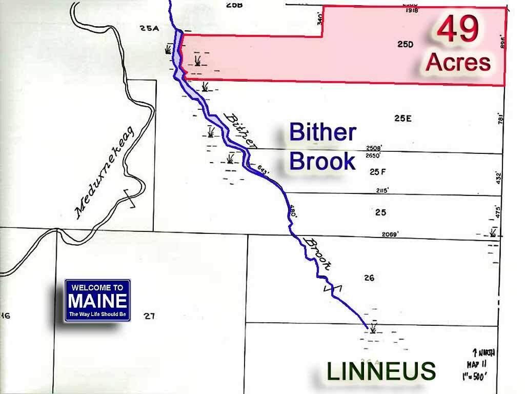 Linneus, Aroostook County, ME Undeveloped Land, Lakefront Property, Waterfront Property for sale