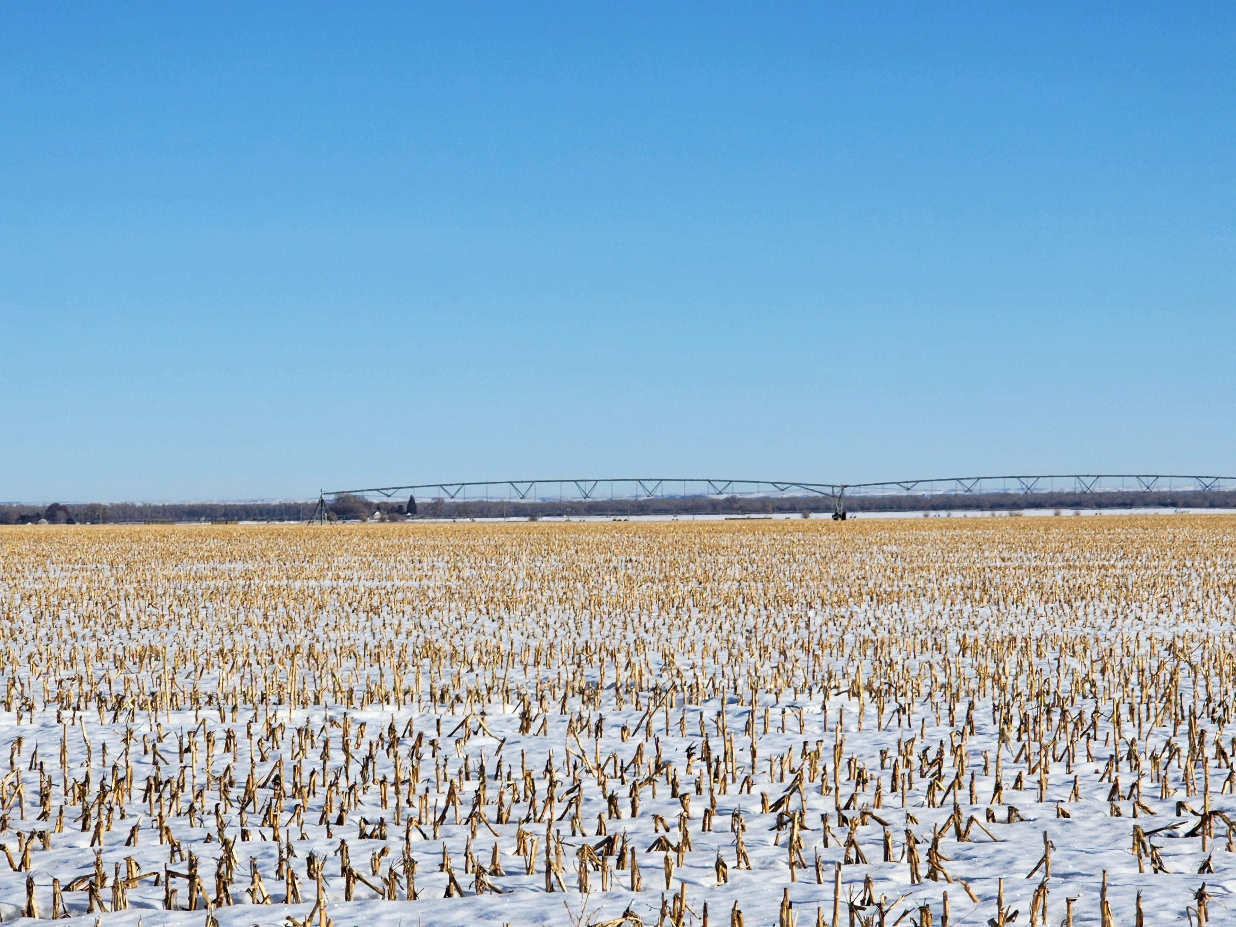 Cozad, Dawson County, NE Farms and Ranches for sale Property ID