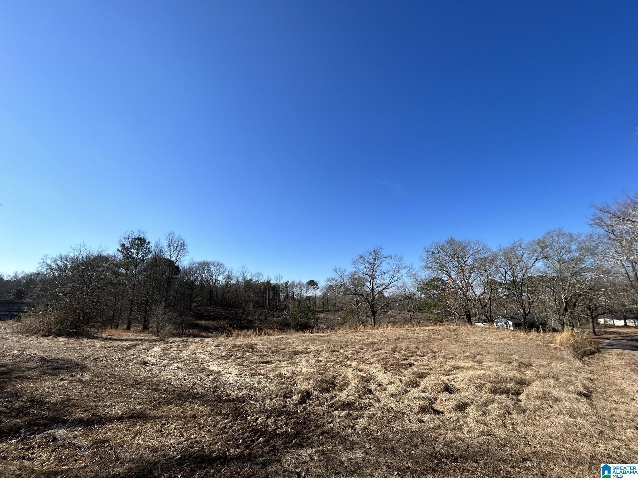 Nauvoo, Walker County, AL Farms and Ranches, Homesites for sale