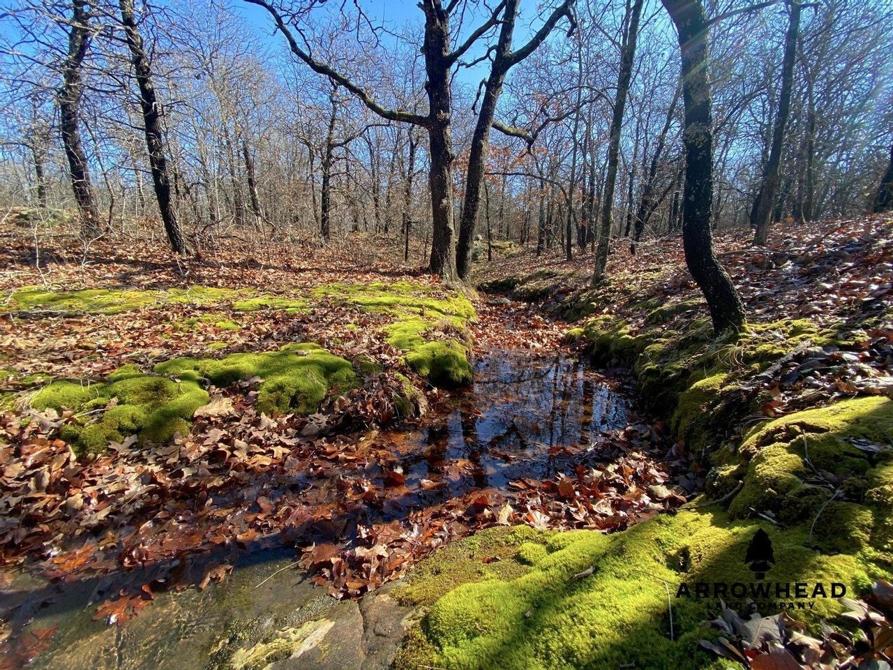 40 acres in Boley, OK, 74829 LandWatch