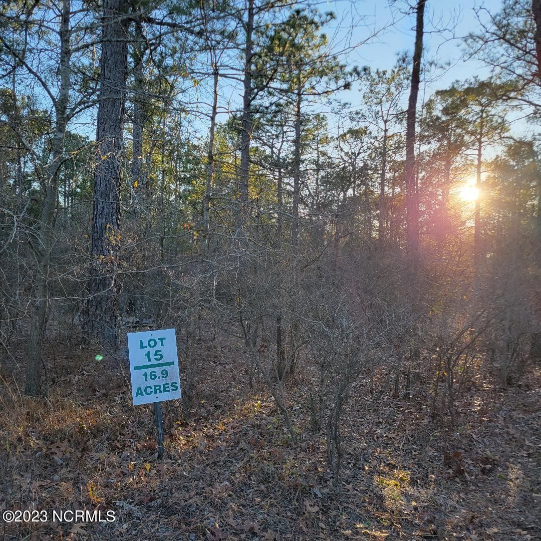 Burgaw, Pender County, NC Undeveloped Land for sale Property ID