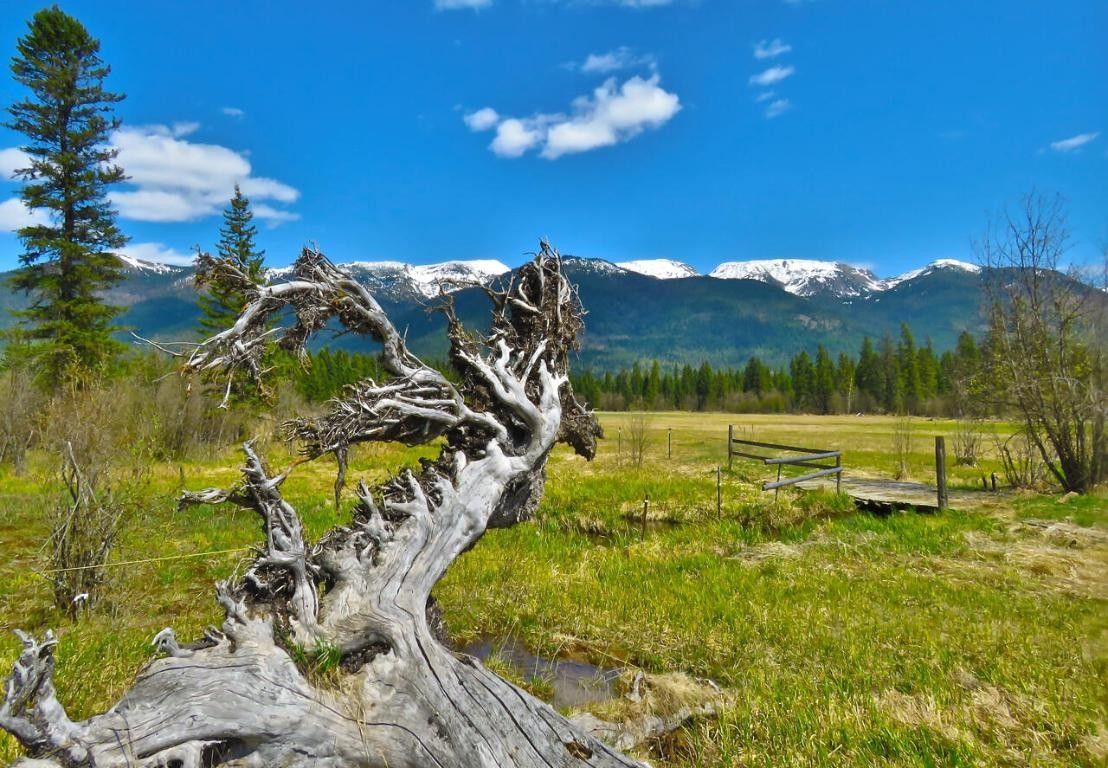 Bigfork, Flathead County, MT Farms and Ranches, Lakefront Property