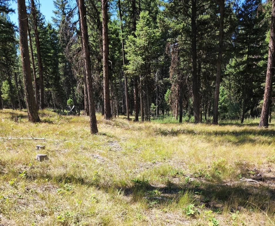 Seeley Lake, Missoula County, MT Farms and Ranches, Homesites for sale