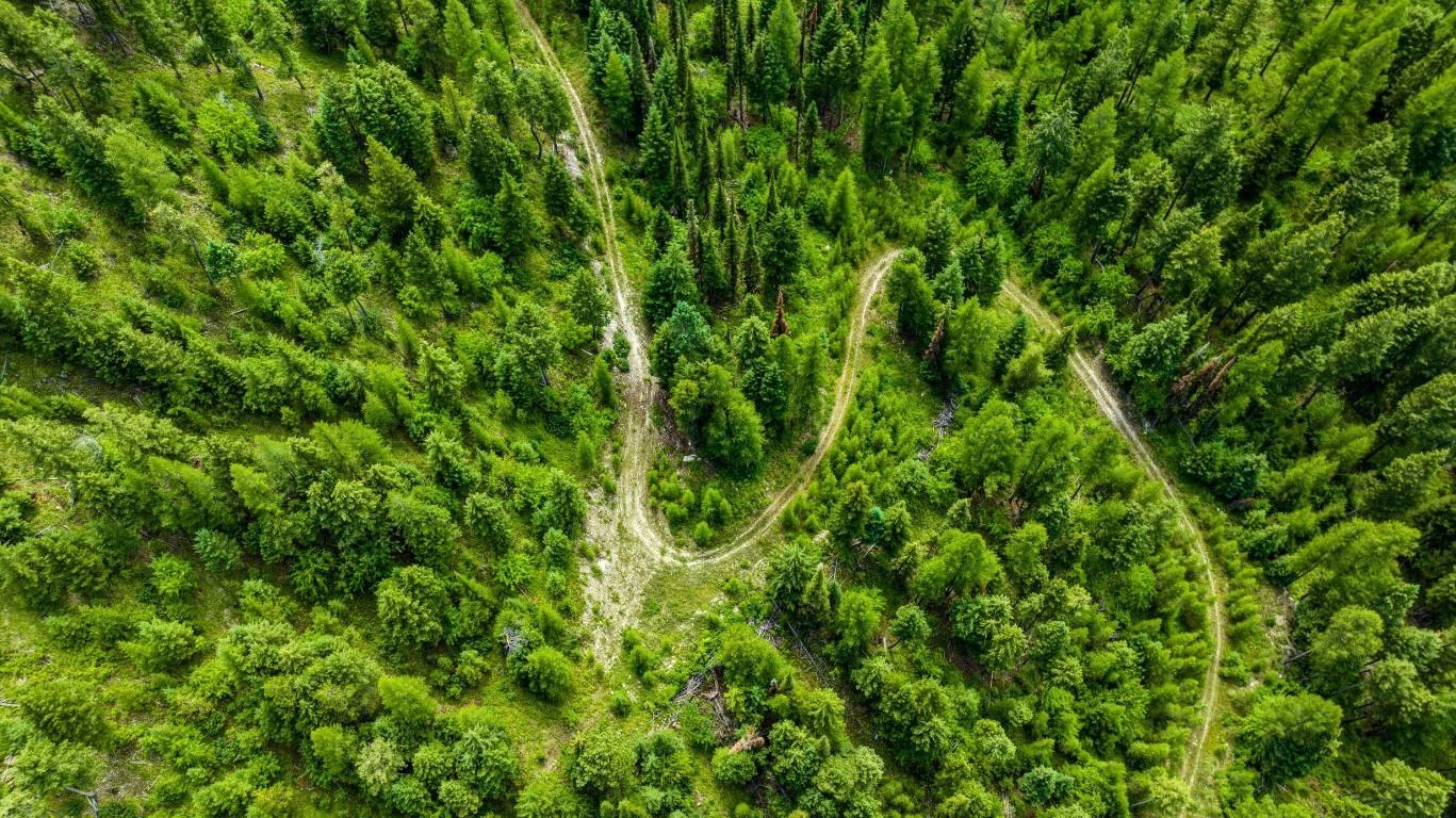 Kalispell, Flathead County, MT Farms and Ranches for sale Property ID