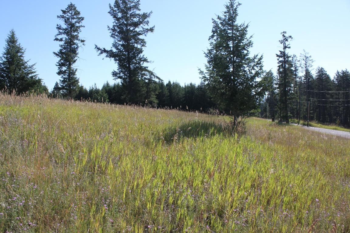 Lakeside, Flathead County, MT Undeveloped Land, Homesites for sale
