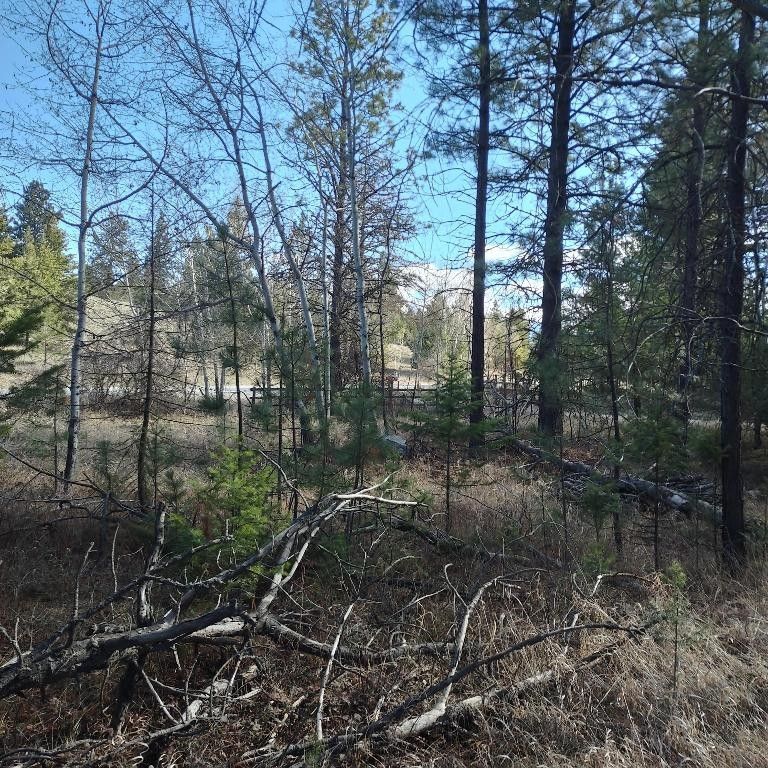 Rexford, Lincoln County, MT Undeveloped Land, Lakefront Property