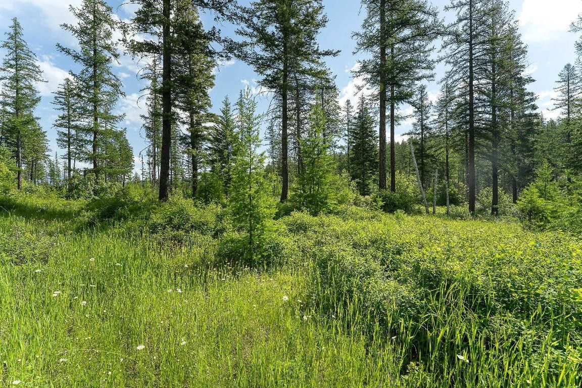 Bigfork, Flathead County, MT Farms and Ranches, Homesites for sale
