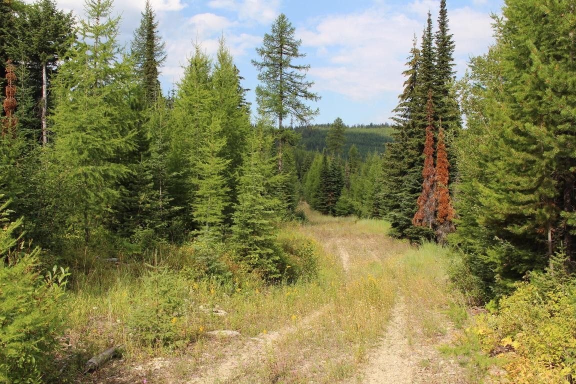 Kalispell, Flathead County, MT Farms and Ranches for sale Property ID