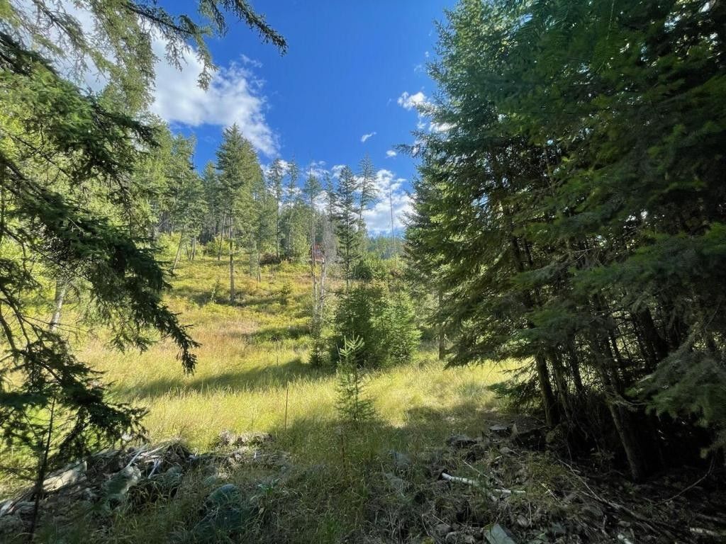 Kalispell, Flathead County, MT Farms and Ranches for sale Property ID