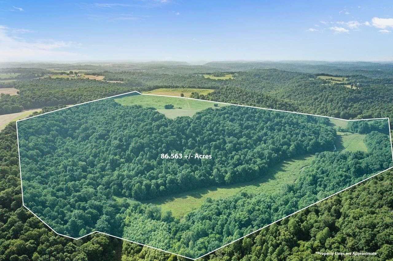 Brownsville, Edmonson County, KY Undeveloped Land, Lakefront Property, Waterfront Property for