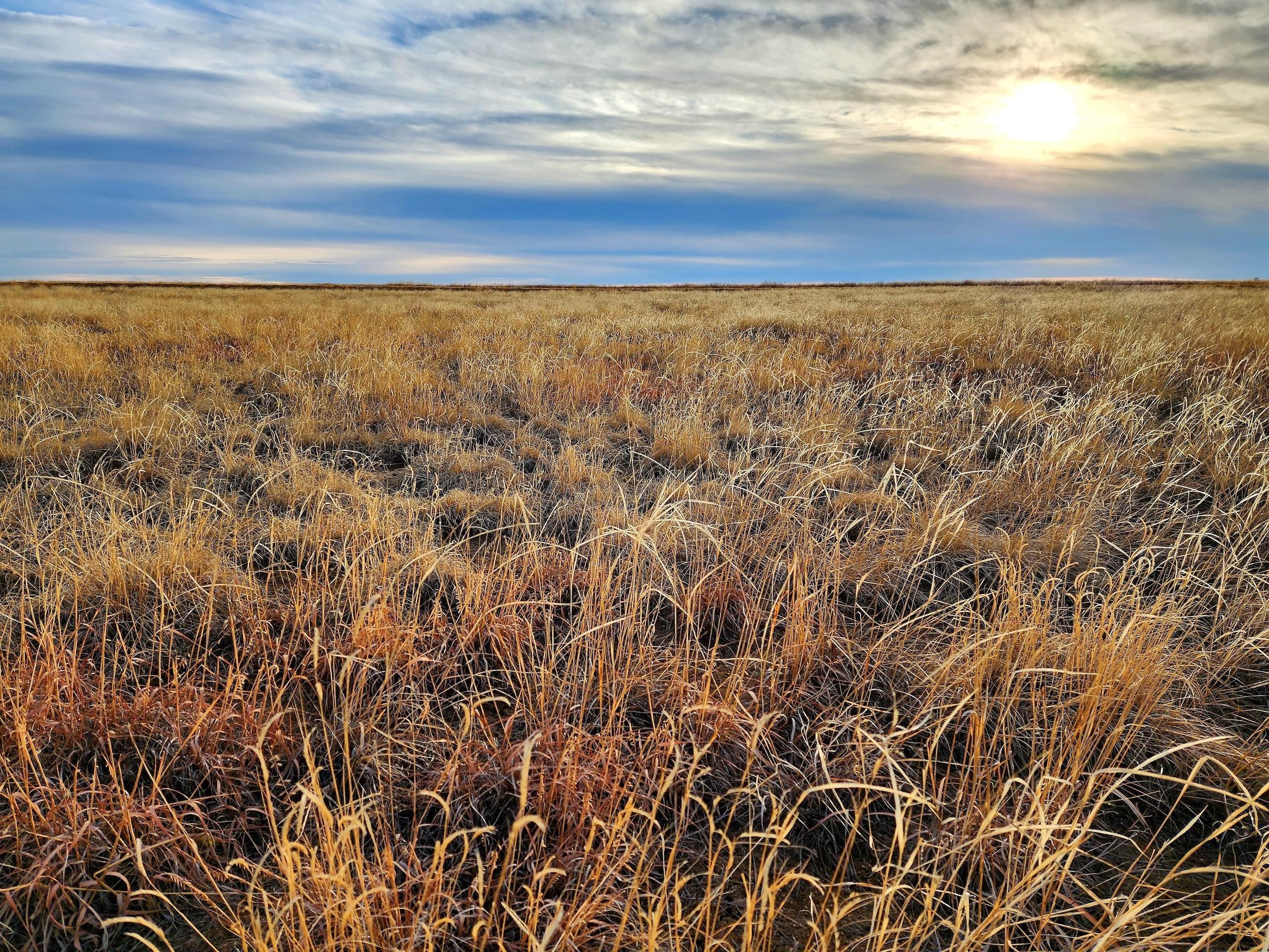 Arlington, Kiowa County, CO Farms and Ranches, Recreational Property