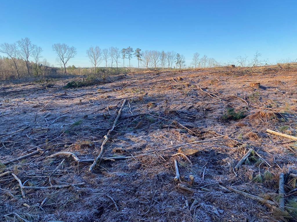 Warrenton, Warren County, NC Farms and Ranches for sale Property ID