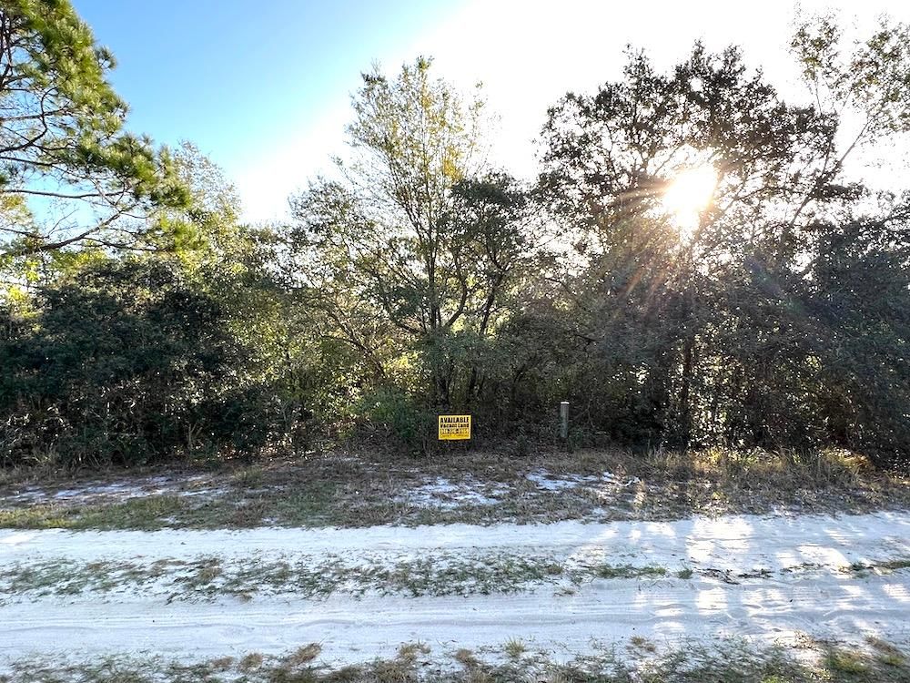 Avon Park, Highlands County, FL Undeveloped Land, Homesites for sale
