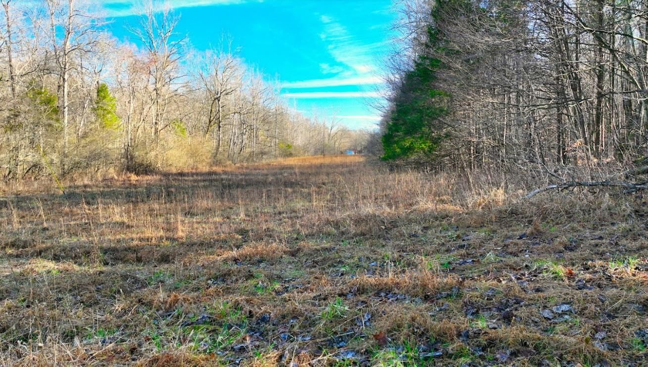 Leoma, Lawrence County, TN Recreational Property, Undeveloped Land for