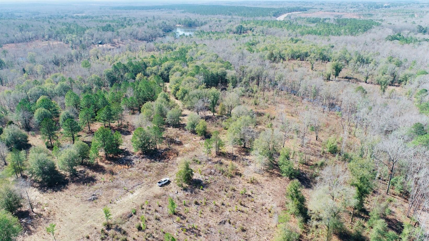 Gun Club Rd, Box Springs, GA 31801 MLS Beaver Dam Recreational