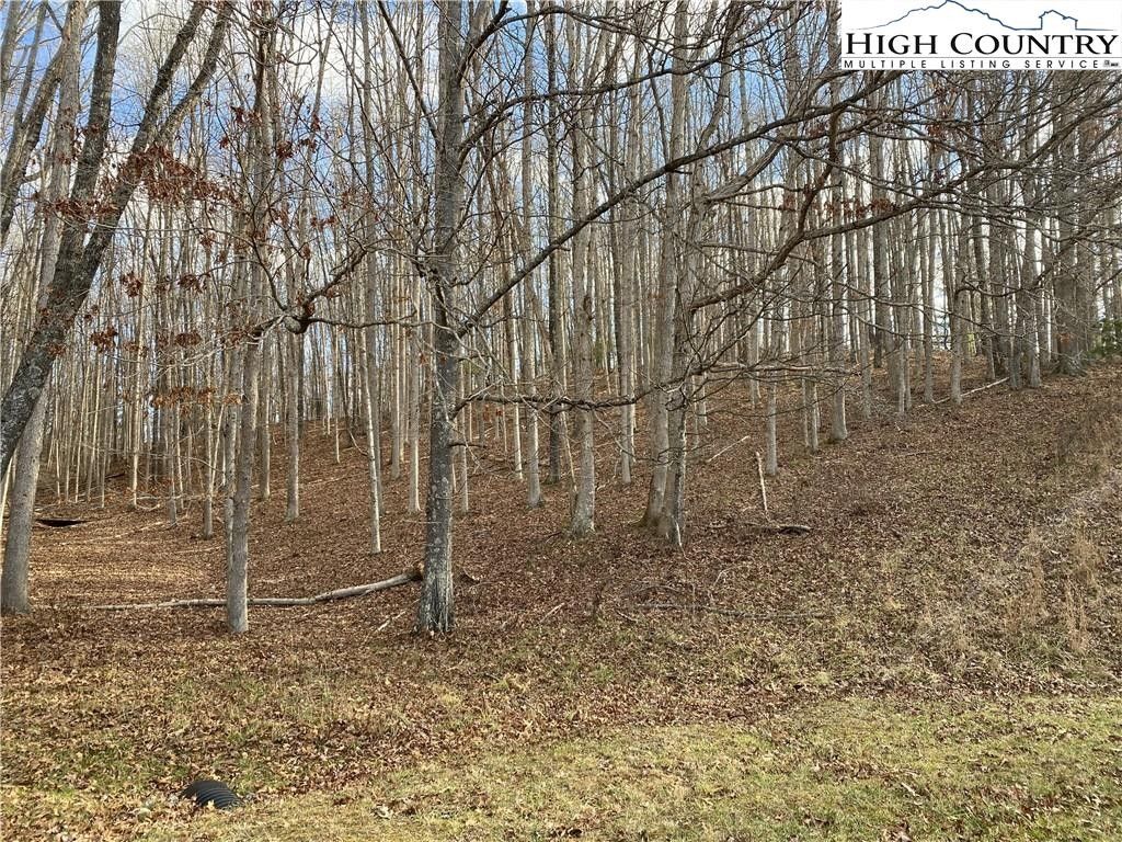 Piney Creek, Alleghany County, NC Farms and Ranches, Homesites for sale Property ID 415811096