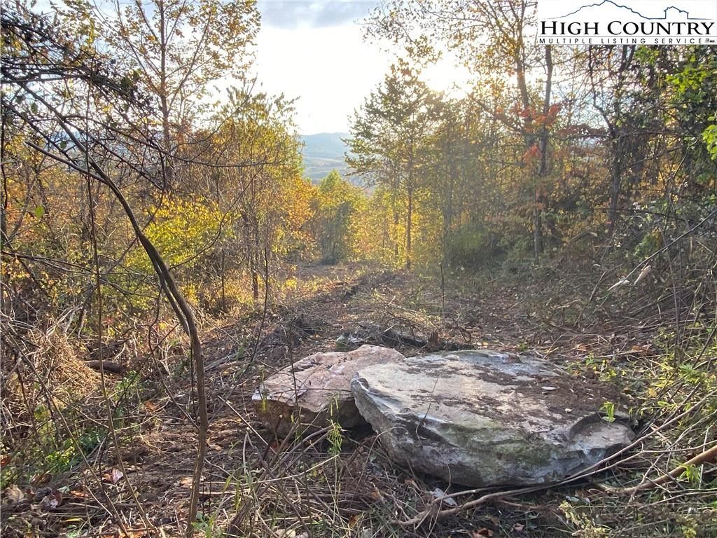 Lot 58 Toms Knob Road, Sparta, NC 28675 MLS 229229 LandWatch