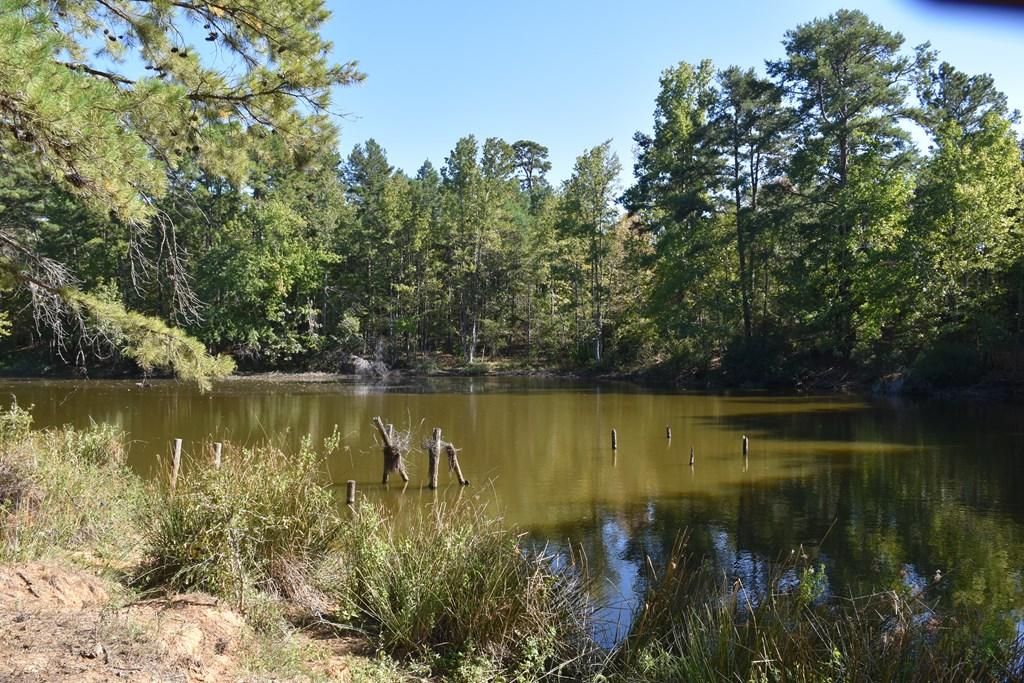 Hwy 84, Palestine, TX 75801 MLS 93387 LandWatch