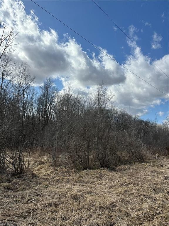Jefferson, Ashtabula County, OH Undeveloped Land for sale Property ID 415814555 LandWatch