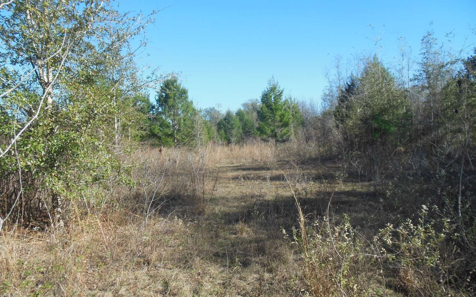Jasper, Hamilton County, FL Undeveloped Land for sale Property ID