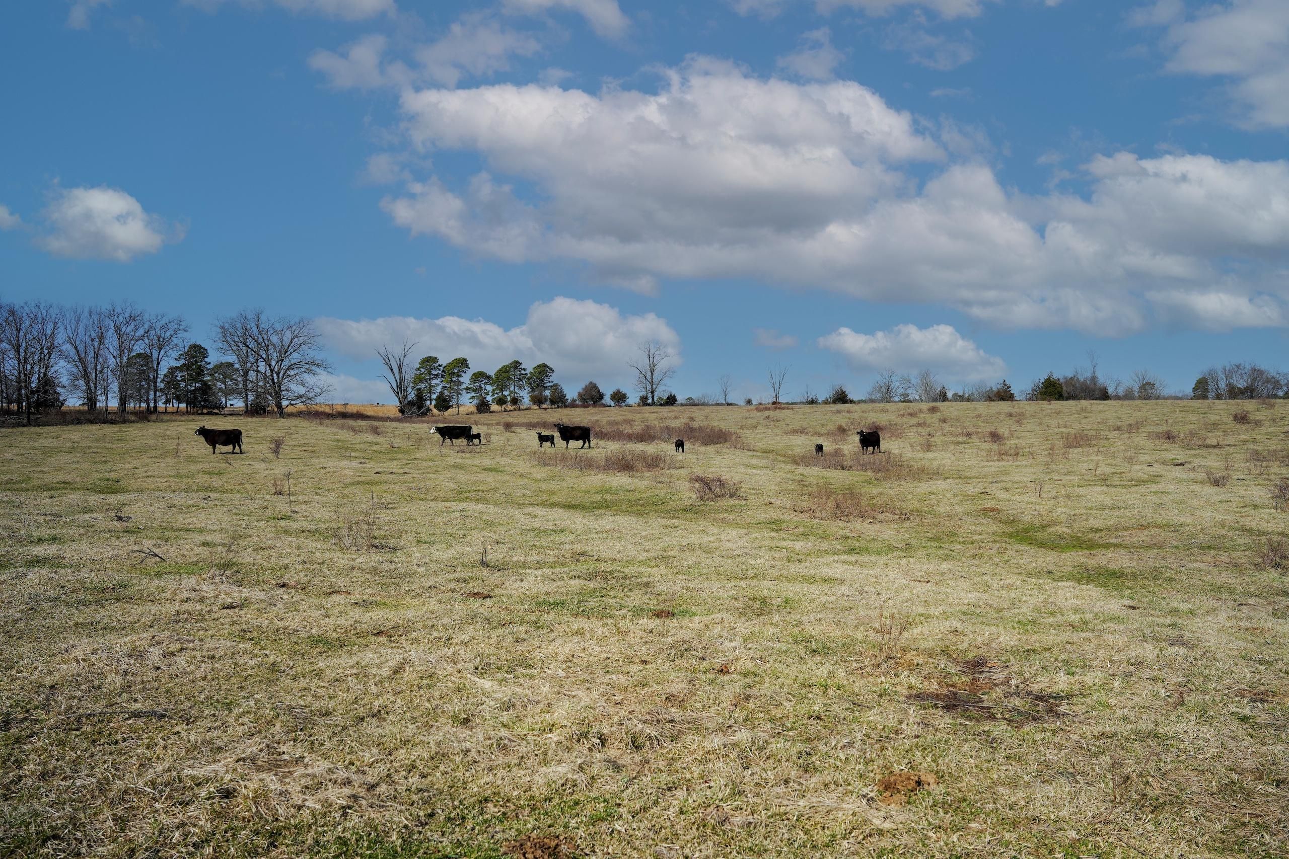 Dora, Ozark County, MO Farms and Ranches, Recreational Property for