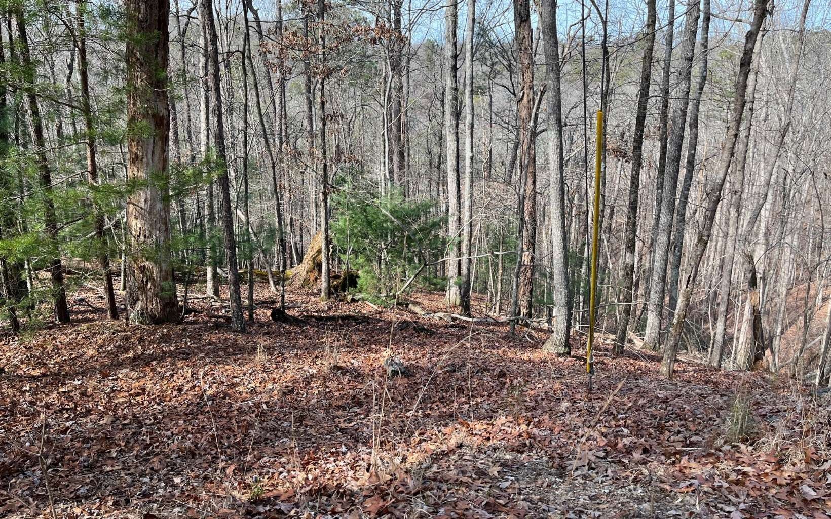 Ellijay, Gilmer County, GA Undeveloped Land, Homesites for sale