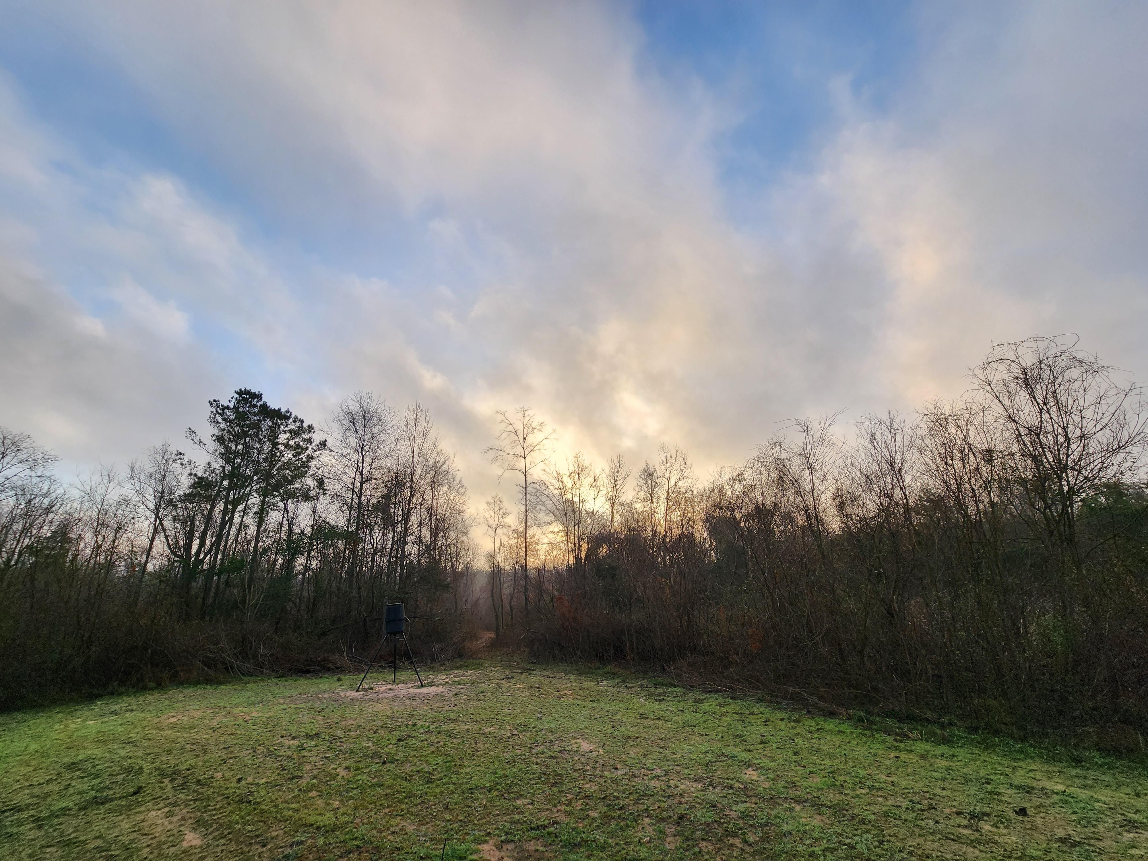 Clinton, East Feliciana Parish, LA Recreational Property, Undeveloped