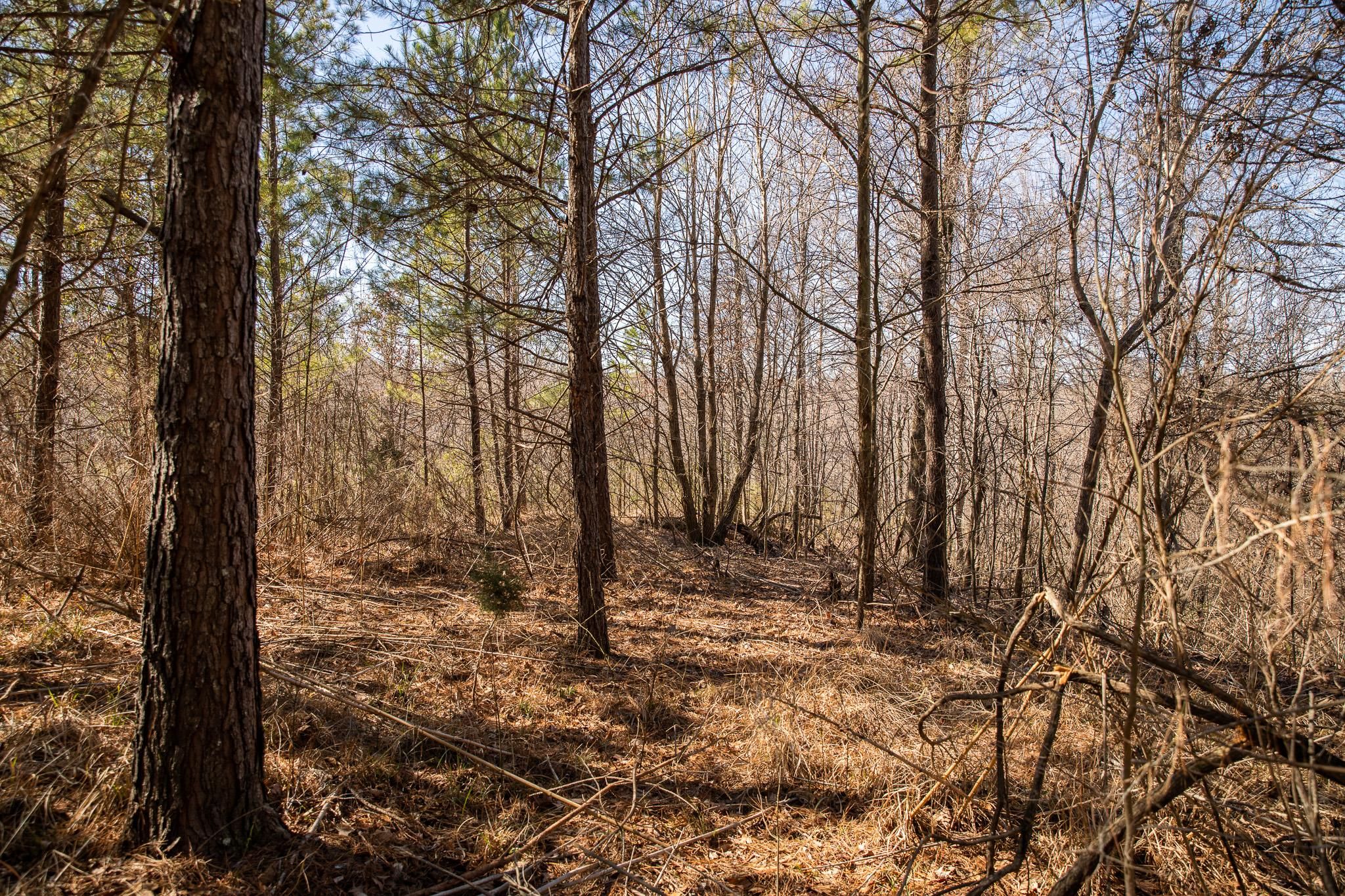 Pine Bluff Rd, Greenwood, MS 38930 MLS 4039633 LandWatch