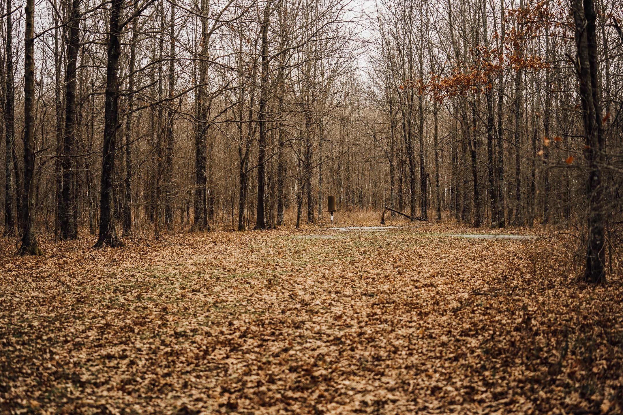 Indianola, Sunflower County, MS Recreational Property, Timberland
