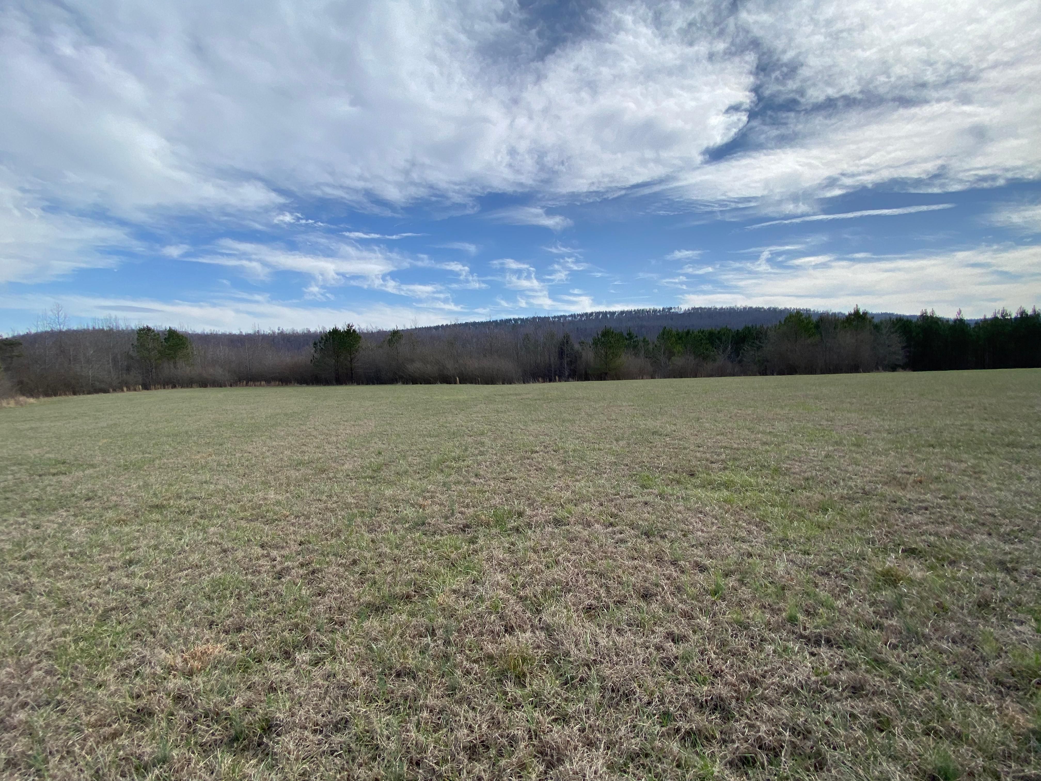 Shoal Creek Rd, Ashville, Alabama 35953, Ashville, AL 35953 LandWatch
