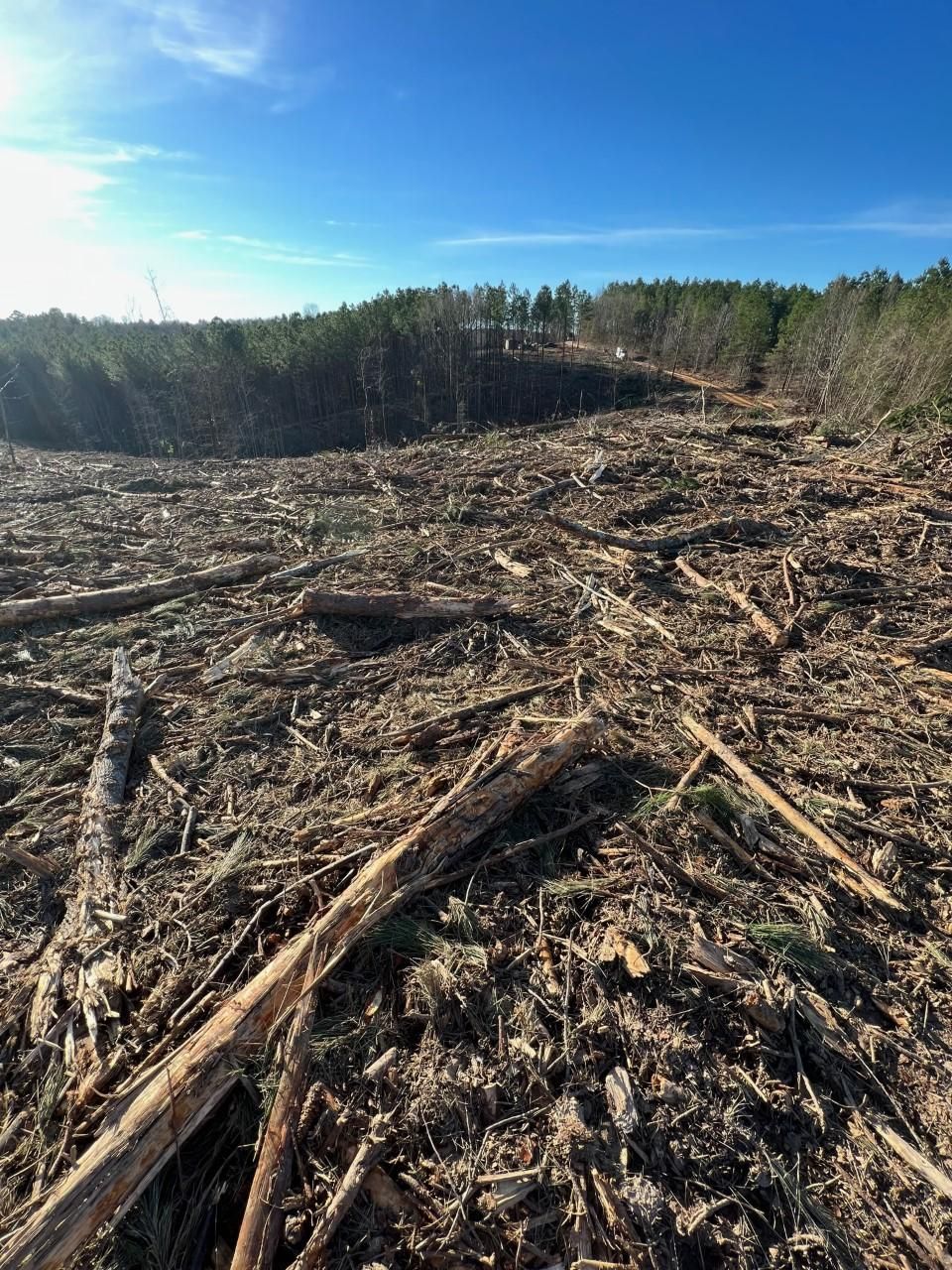 Wood Rd, Ackerman, MS 39735 MLS 23264 LandWatch