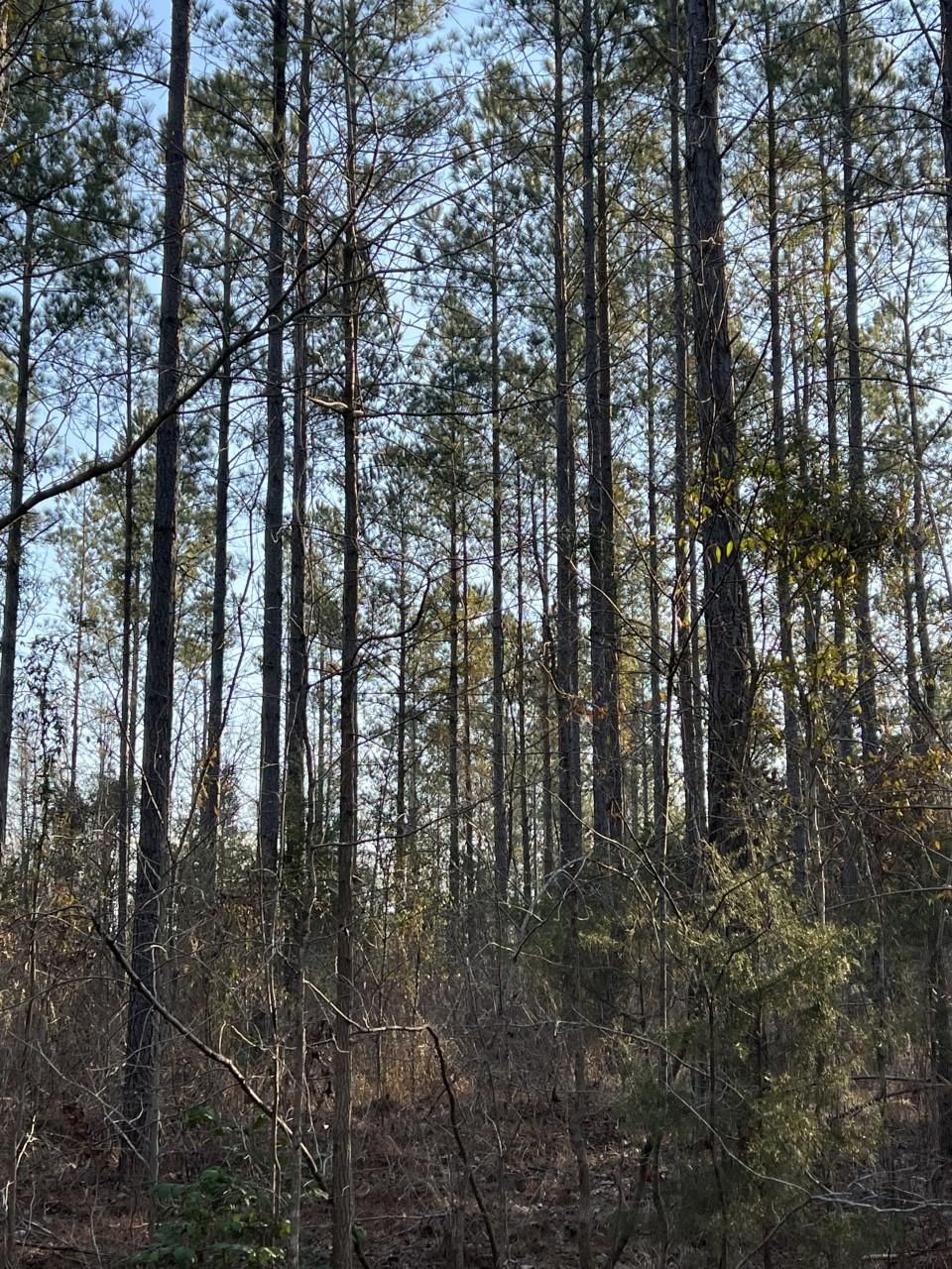 Mccool, Choctaw County, MS Recreational Property for sale Property ID