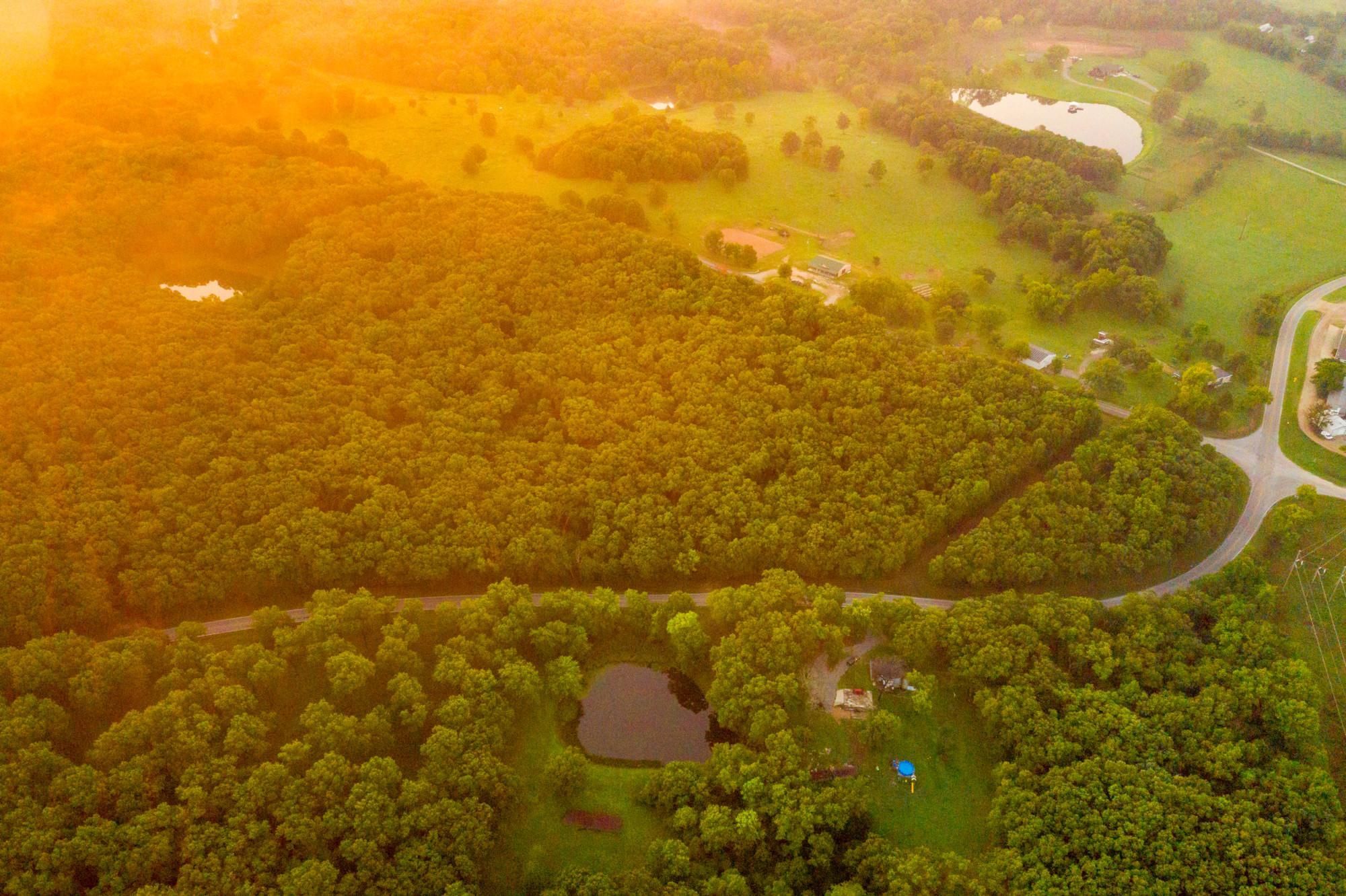 Lincoln, Benton County, MO Recreational Property, Timberland Property