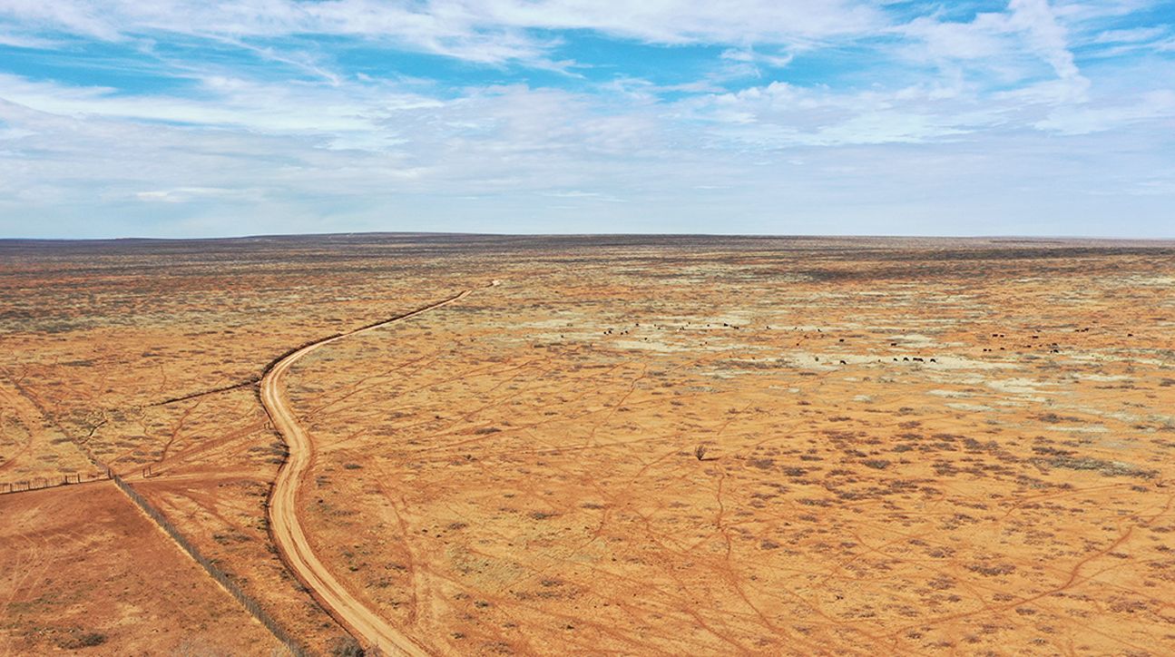 Roswell, Chaves County, NM Farms and Ranches, Undeveloped Land for sale