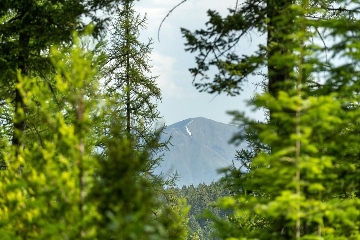 Bigfork, Flathead County, MT Farms and Ranches, Homesites for sale