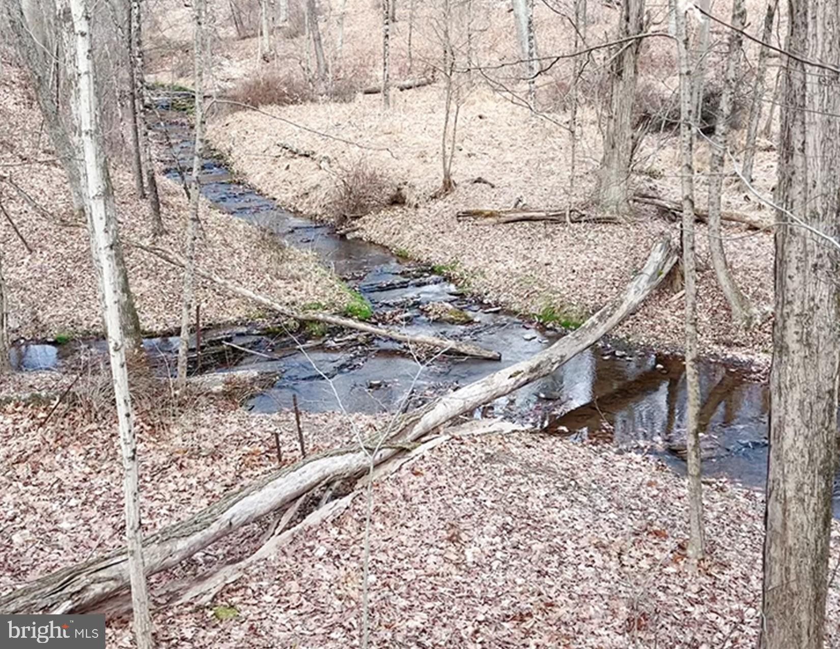 Coopersburg, Bucks County, PA Farms and Ranches, Lakefront Property