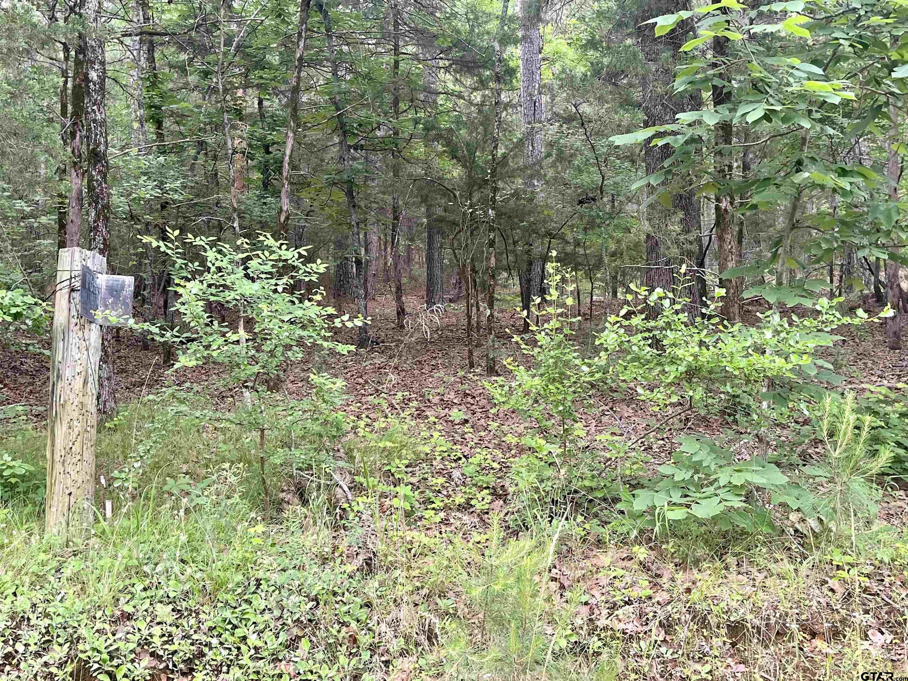 Ben Wheeler, Van Zandt County, TX Undeveloped Land for sale Property ID