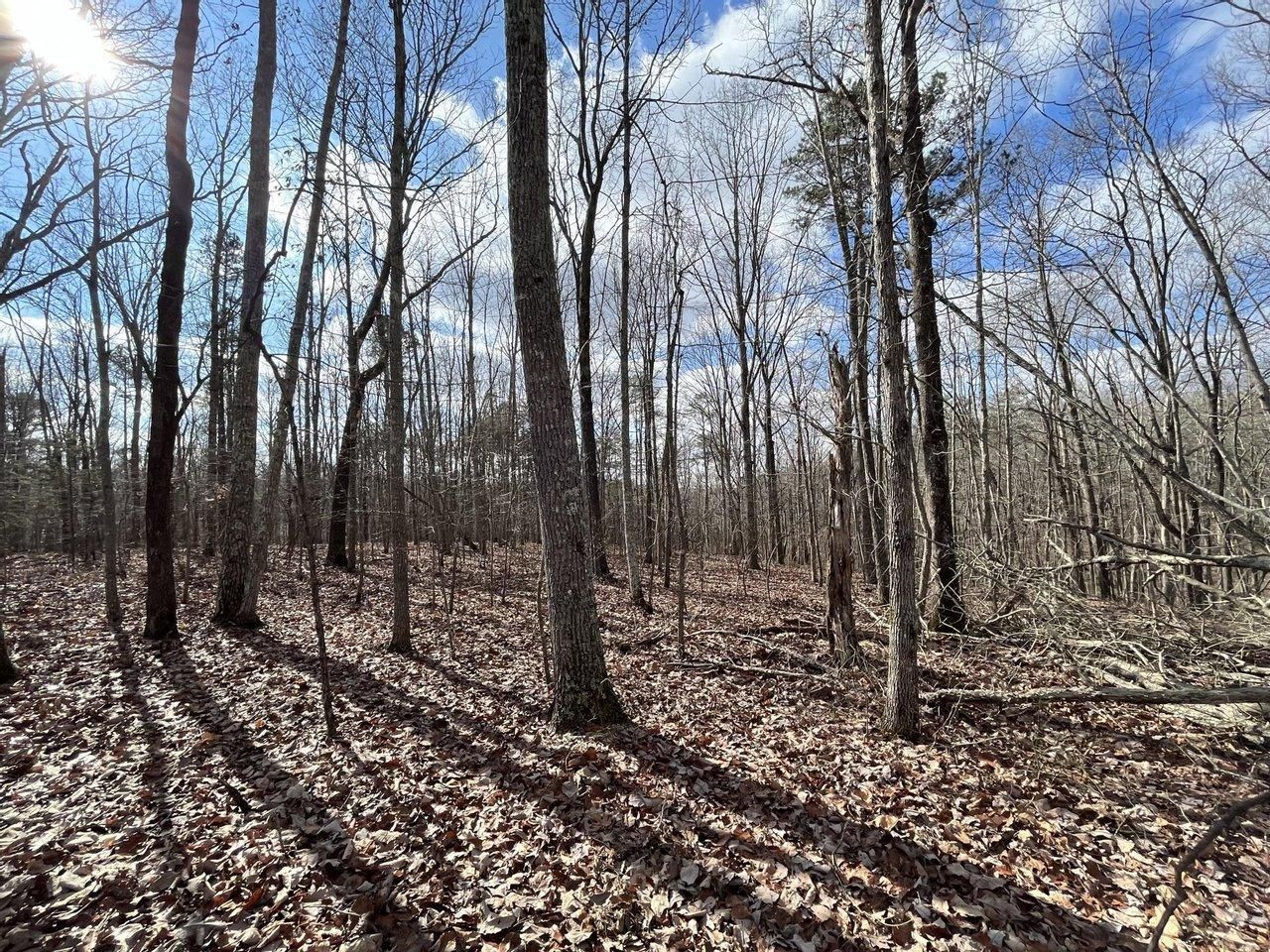 Leighton, Colbert County, AL Recreational Property, Undeveloped Land