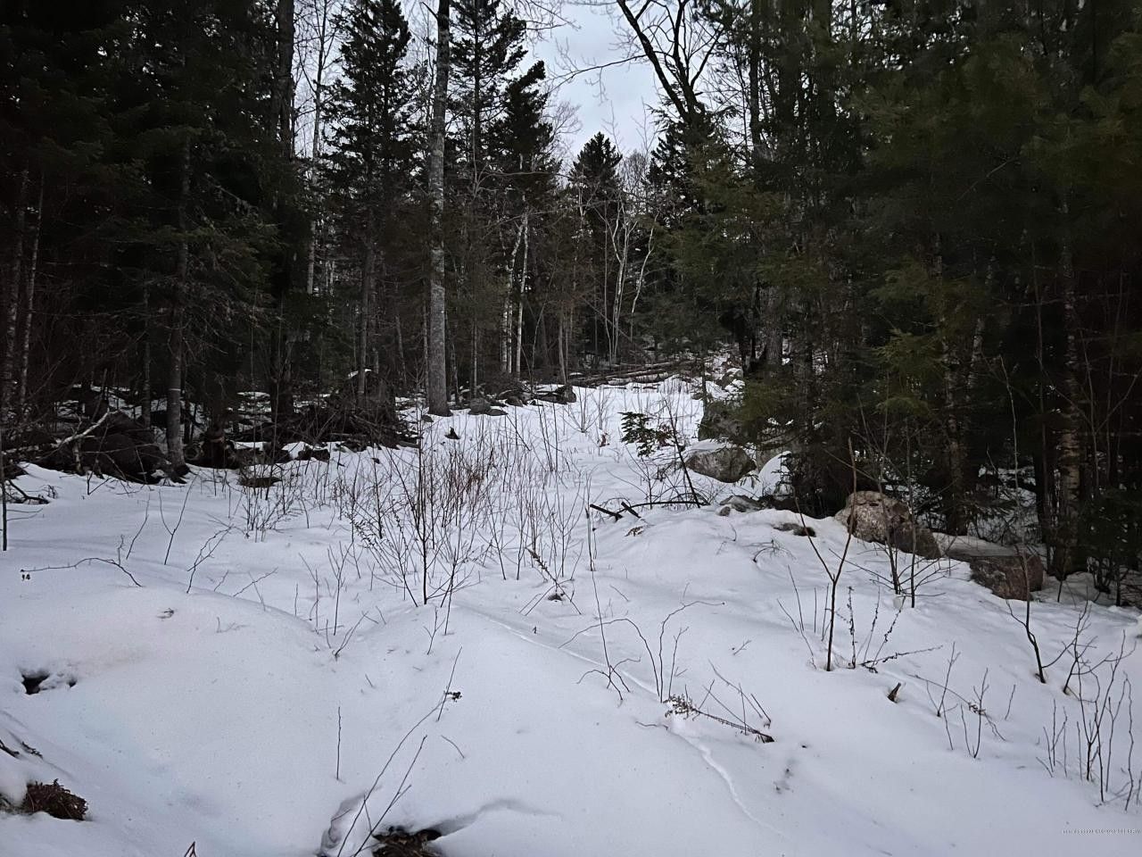 Waltham, Hancock County, ME Homesites for sale Property ID 415828657