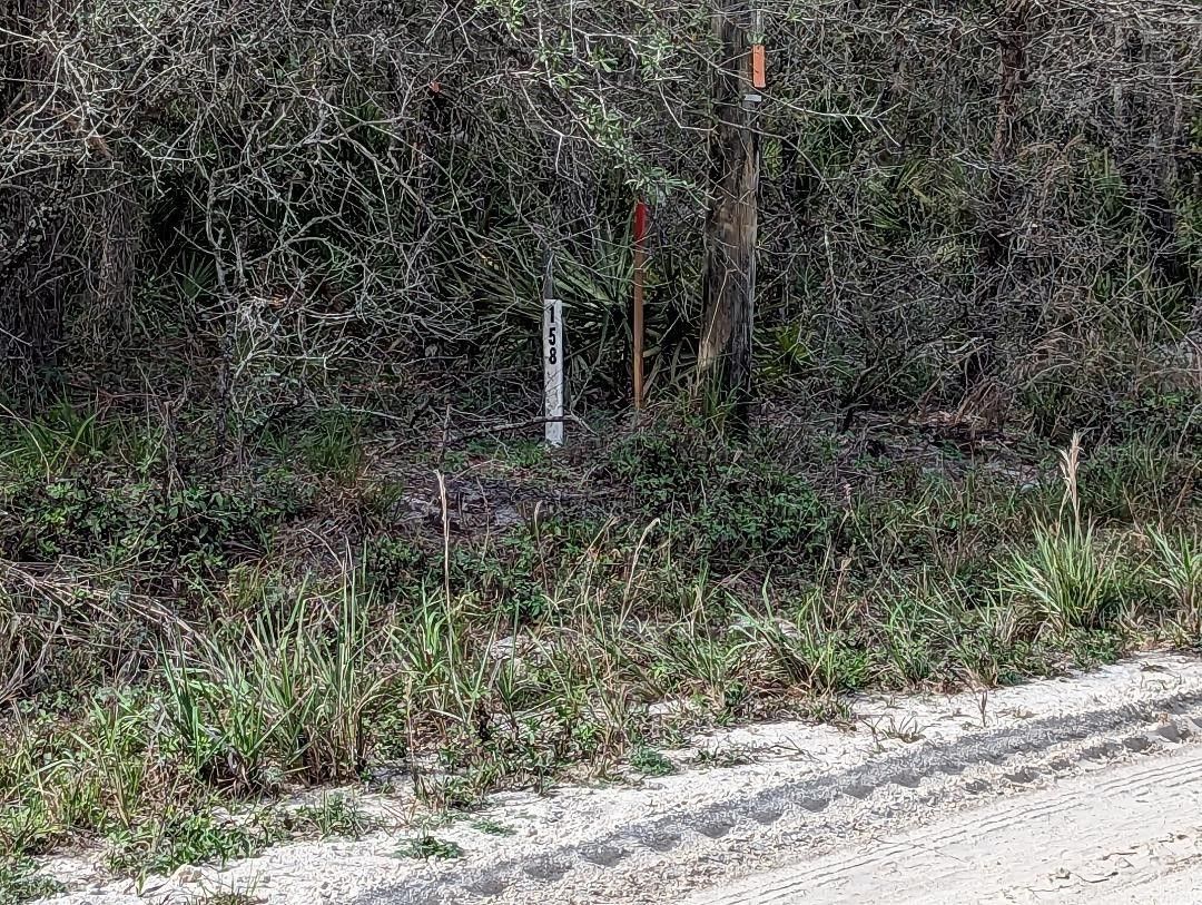 Frostproof, Polk County, FL Undeveloped Land, Homesites for sale