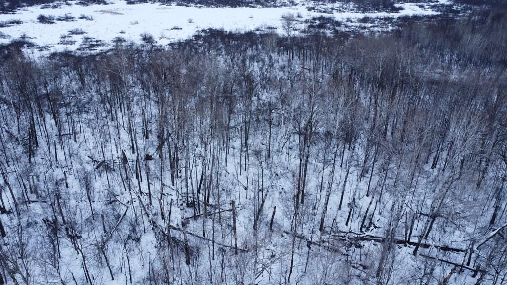 Boyd, Chippewa County, WI Recreational Property, Hunting Property for