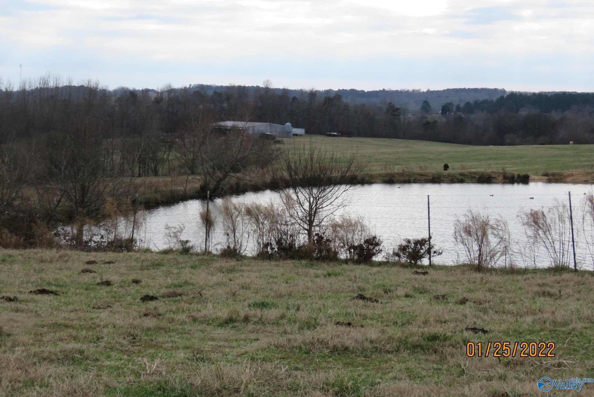 Crossville, Marshall County, AL Farms and Ranches, Undeveloped Land