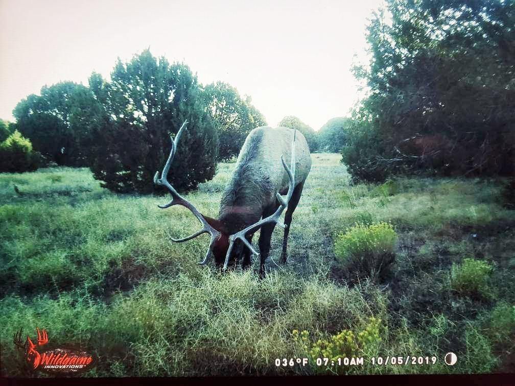 Seligman, Coconino County, AZ Recreational Property, Hunting Property